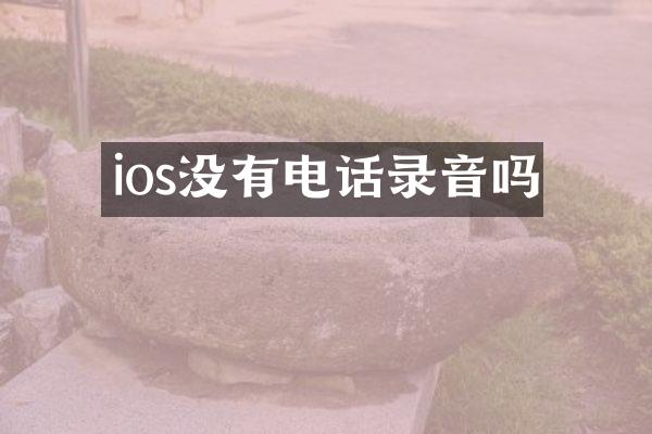 ios没有电话录音吗