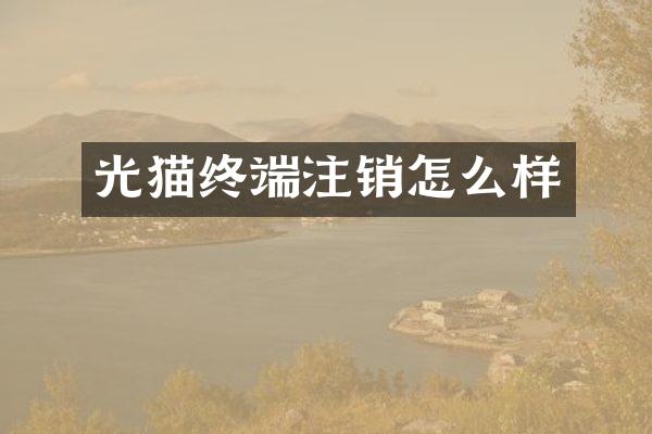 光猫终端注销怎么样