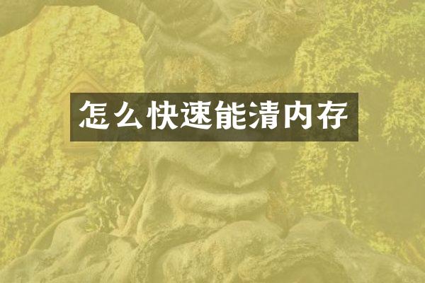 怎么快速能清内存