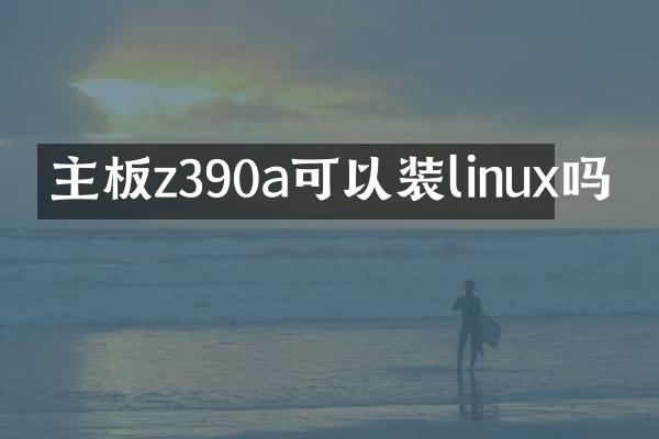 主板z390a可以装linux吗