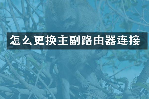 怎么更换主副路由器连接