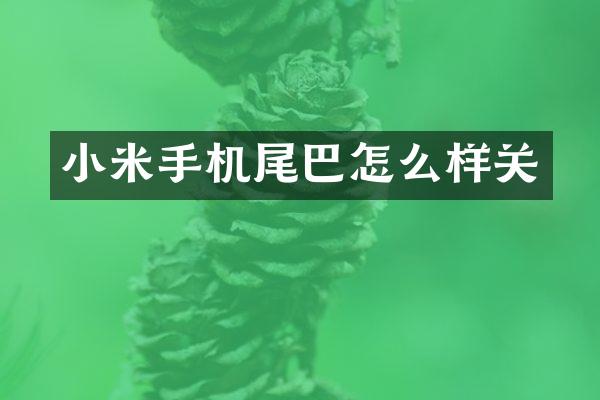 小米手机尾巴怎么样关