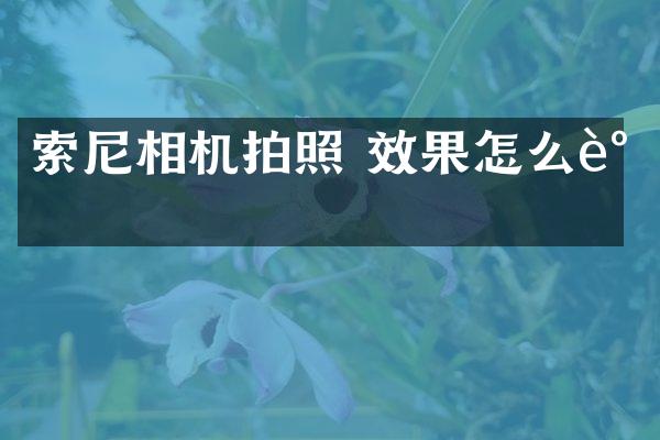 索尼相机拍照 效果怎么调