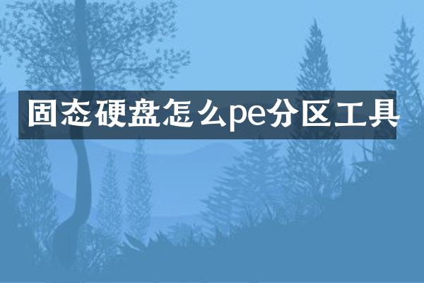 固态硬盘怎么pe分区工具
