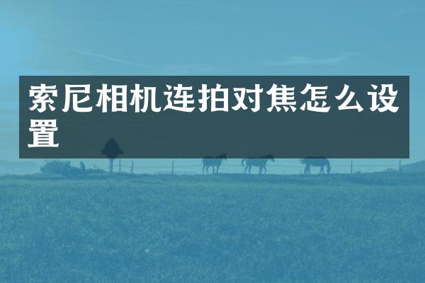 索尼相机连拍对焦怎么设置