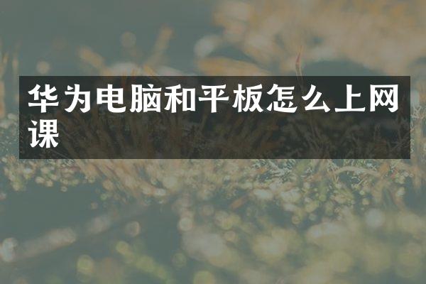华为电脑和平板怎么上网课