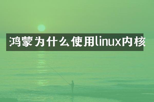 鸿蒙为什么使用linux内核