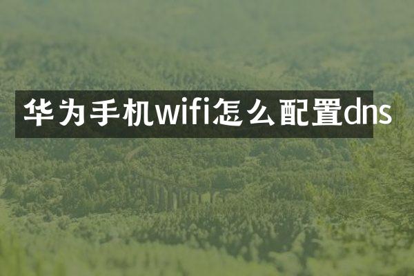 华为手机wifi怎么配置dns