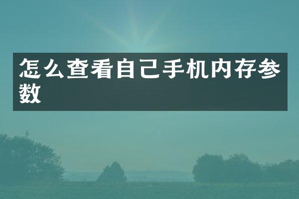 怎么查看自己手机内存参数