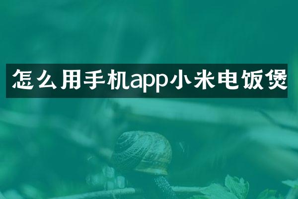 怎么用手机app小米电饭煲