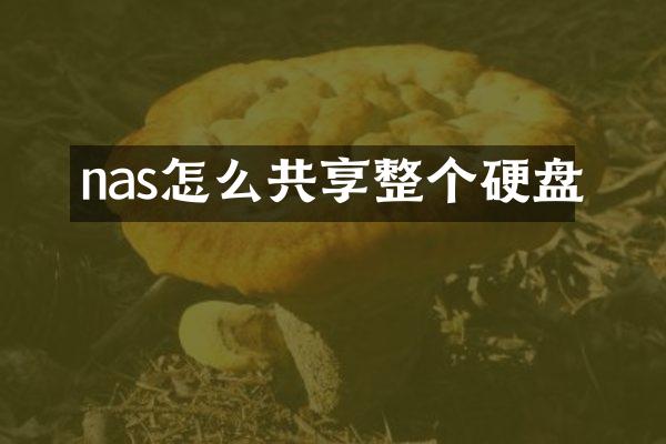 nas怎么共享整个硬盘