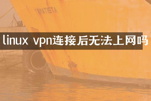 linux vpn连接后无法上网吗