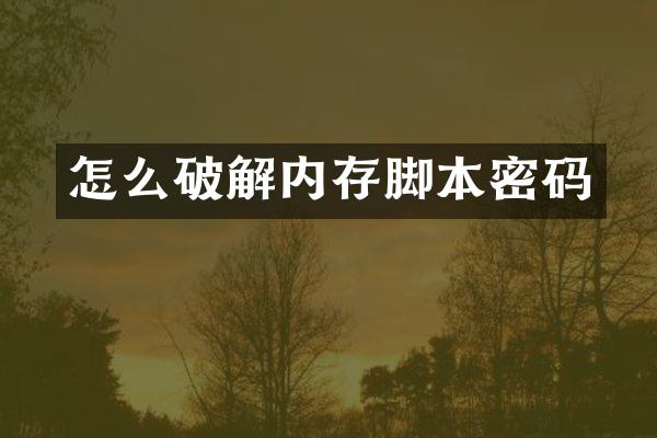 怎么破解内存脚本密码