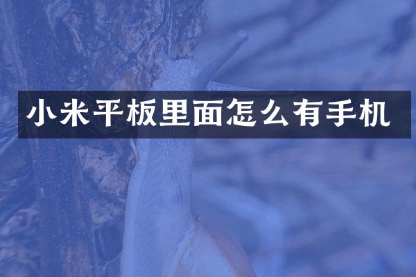 小米平板里面怎么有手机