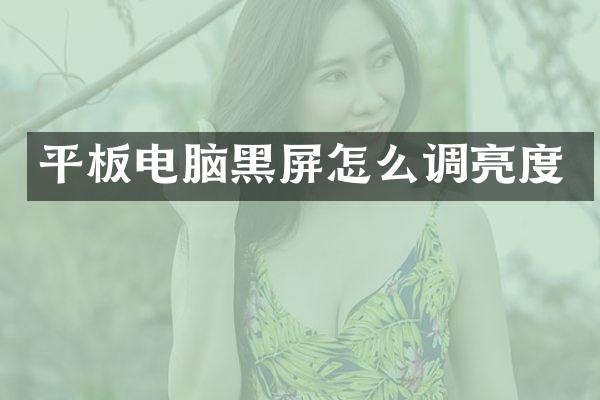 平板电脑黑屏怎么调亮度