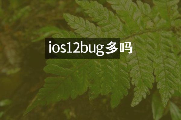 ios12bug多吗