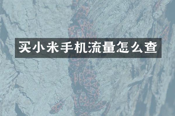 买小米手机流量怎么查
