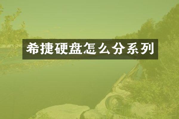 希捷硬盘怎么分系列