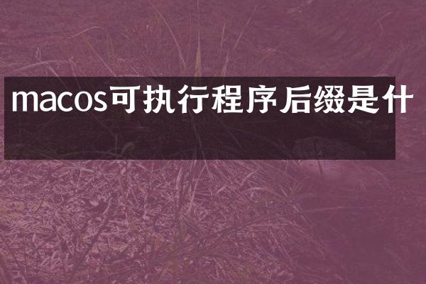 macos可执行程序后缀是什么