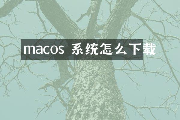 macos 系统怎么下载