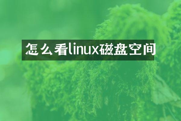 怎么看linux磁盘空间