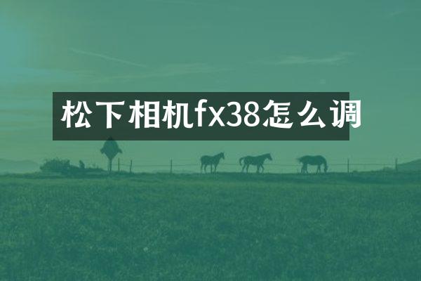 相机fx38怎么调