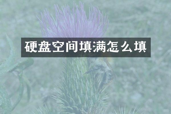 硬盘空间填满怎么填