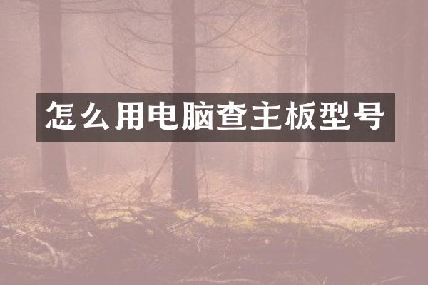 怎么用电脑查主板型号