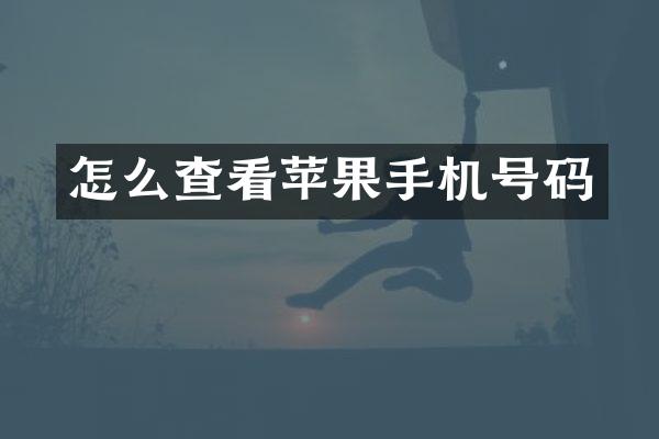 怎么查看苹果手机号码