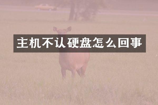 主机不认硬盘怎么回事