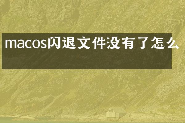 macos闪退文件没有了怎么找