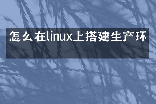 怎么在linux上搭建生产环境