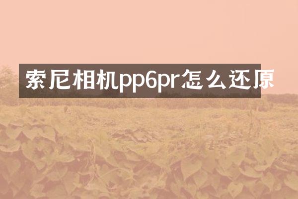 相机pp6pr怎么还原
