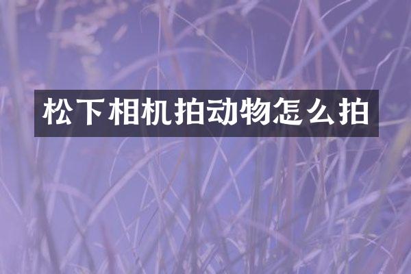 相机拍动物怎么拍