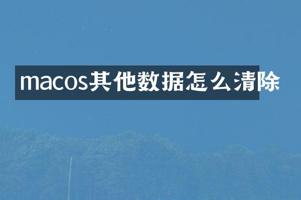 macos其他数据怎么清除