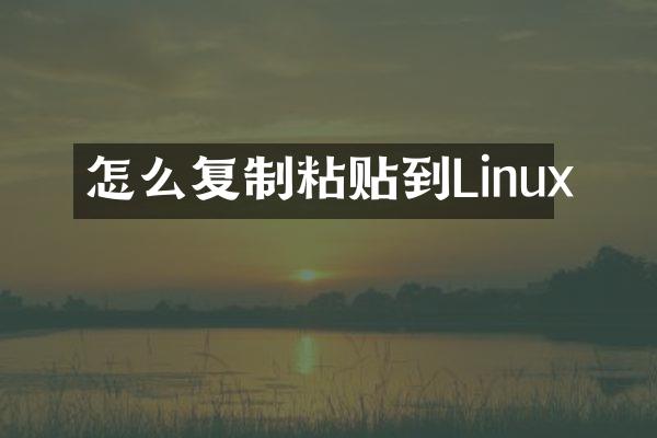 怎么复制粘贴到Linux