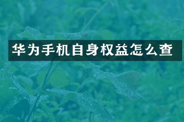 华为手机自身权益怎么查