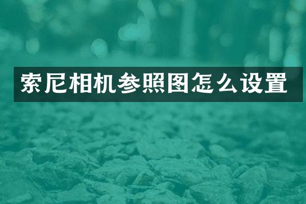 相机参照图怎么设置