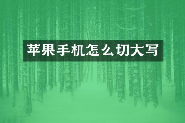 苹果手机怎么切大写