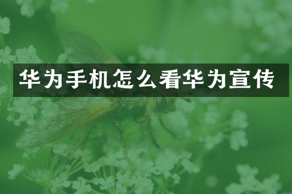 华为手机怎么看华为宣传