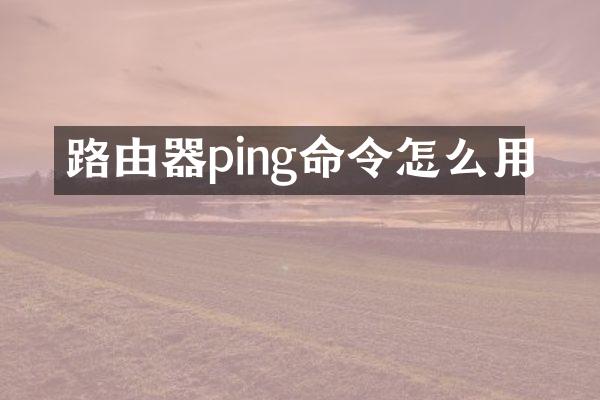 路由器ping命令怎么用