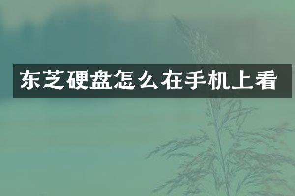 东芝硬盘怎么在手机上看