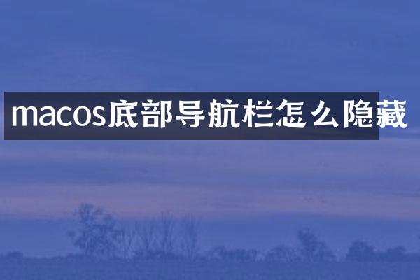 macos底部导航栏怎么隐藏