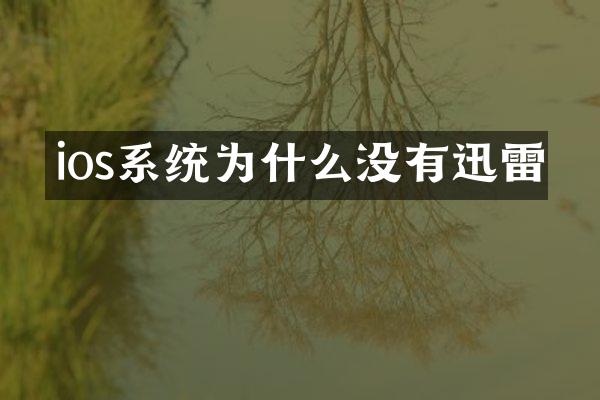 ios系统为什么没有迅雷