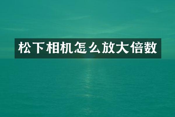 相机怎么放大倍数
