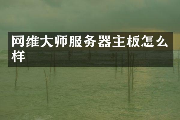 网维大师服务器主板怎么样