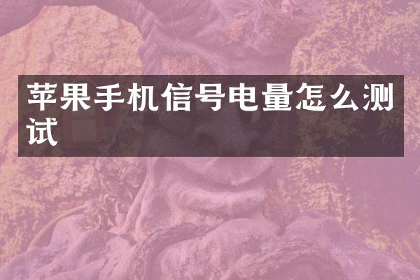 苹果手机信号电量怎么测试