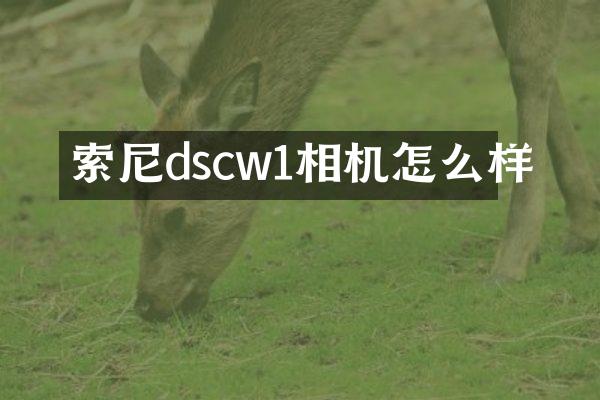 索尼dscw1相机怎么样