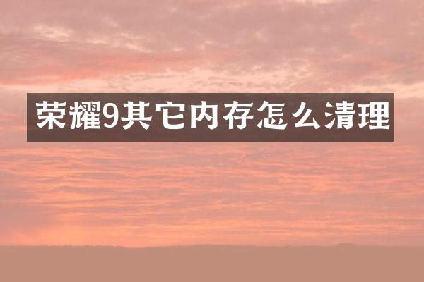 荣耀9其它内存怎么清理