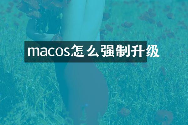 macos怎么强制升级